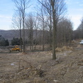 Looking roughly north up the Northern Electric R-O-W. Photo taken by Brian Weinberg, 12/26/2004.